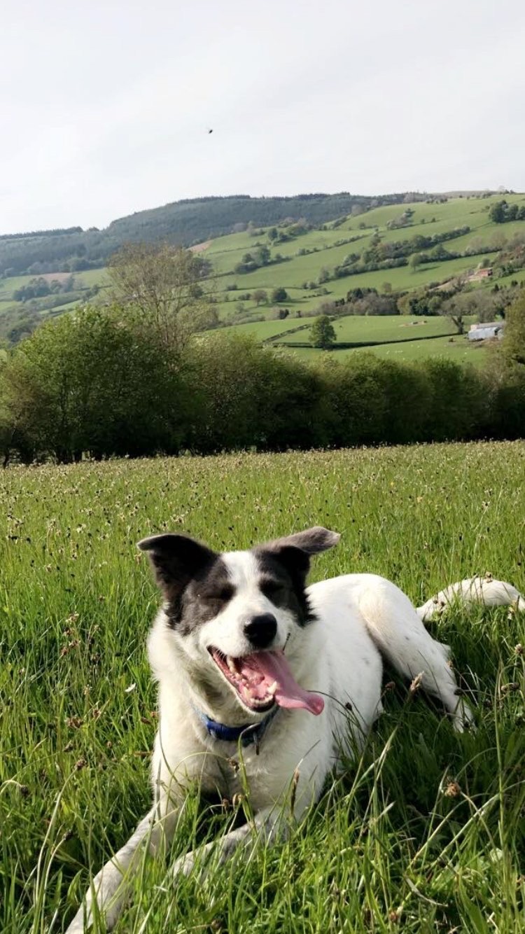 Meet Floss