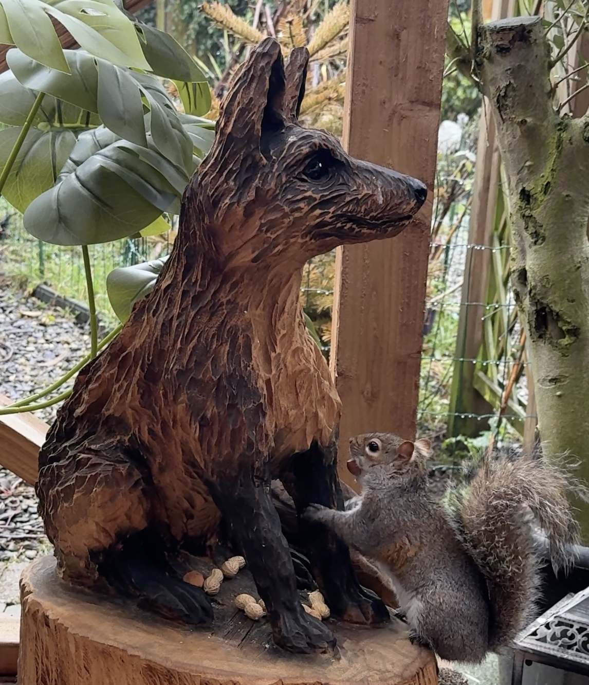 Fudzia lub Fudżek na śniadaniu